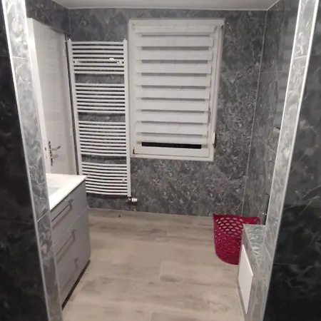 Romains - 1g - Hebergements Classes Avec Garage * Estrasburgo