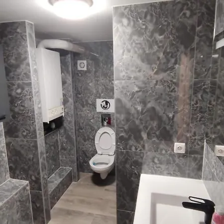 Romains - 1g - Hebergements Classes Avec Garage ストラスブール